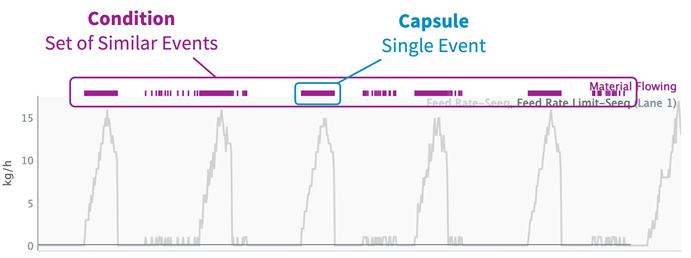 Conditions and Capsules.png